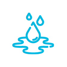 Gota
